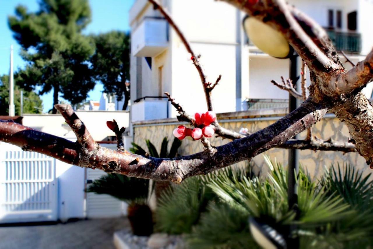 Villa Amelie  Bisceglie Buitenkant foto